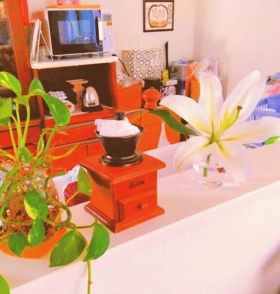 おはようございます🍀