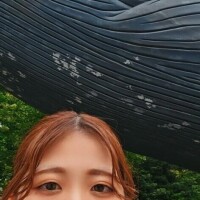 山田ゆき