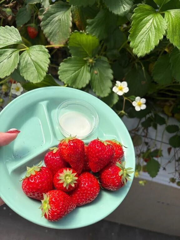 出勤♡
