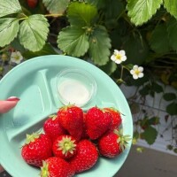 成瀬みお