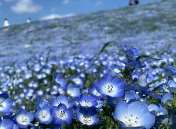 空き枠♡