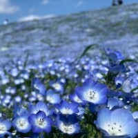 成瀬みお