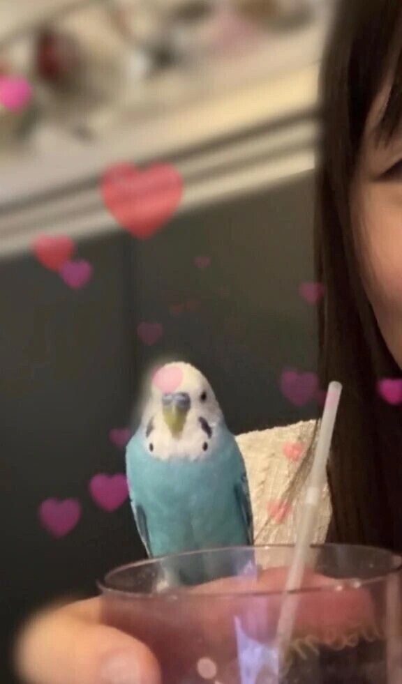 ☆初出勤☆