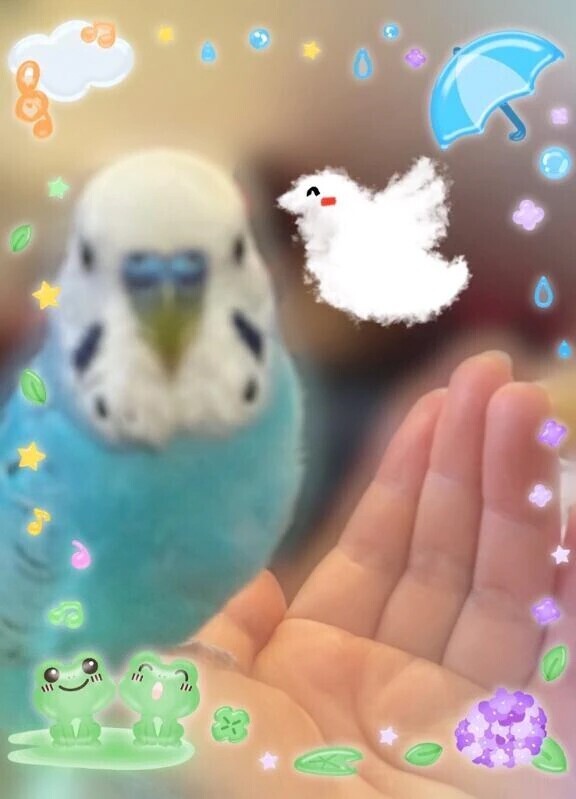 ☆お仕事でした☆