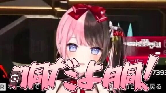 胴だよ胴！