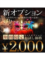 NEW【新オプション続々追加】