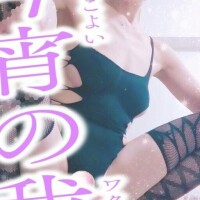 おっっっっは