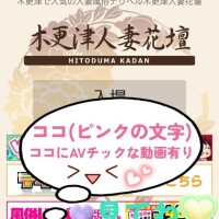 風俗日本体験動画