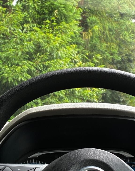 今日は…