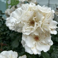 本日もありがとうございました〜🩷