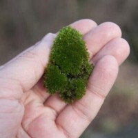 お気に入りのパネルです！！！