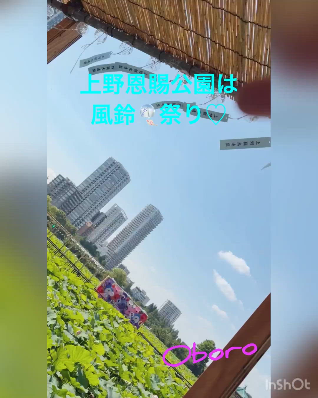 夏の音色っ♡