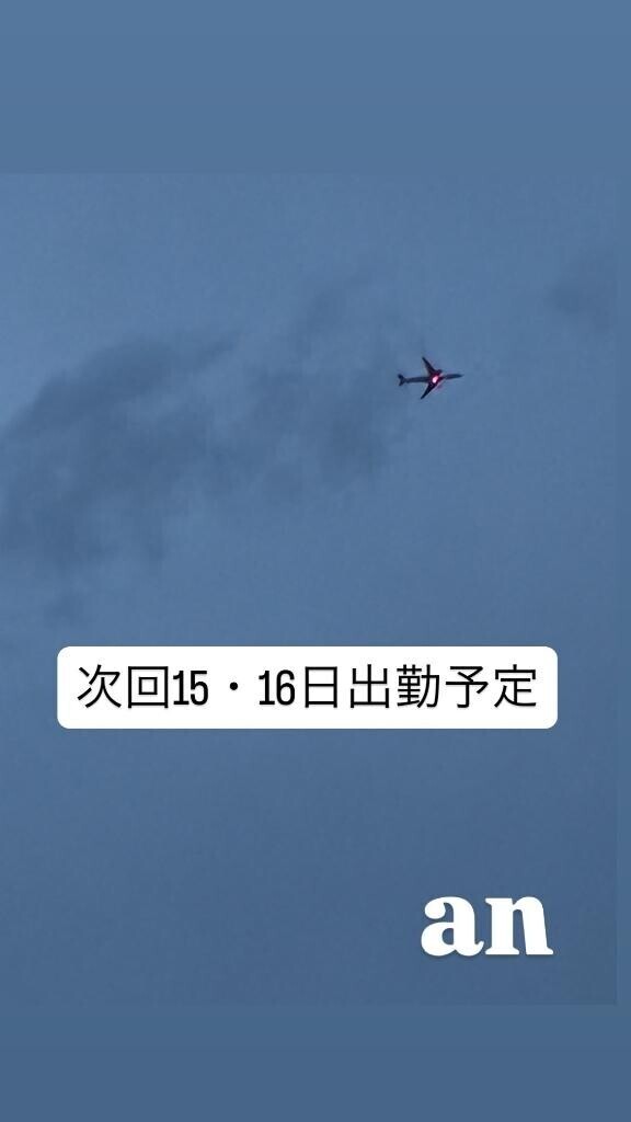 今日は…