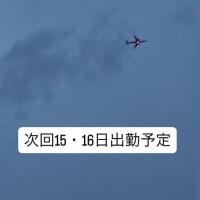 今日は…