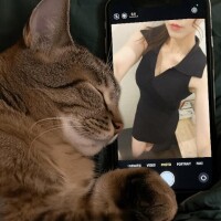 シフト追加しました