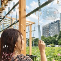 今日は
