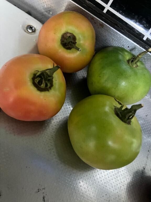 トマト
