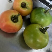 りむ