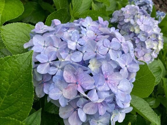 暑いね？溶けそうだね？？