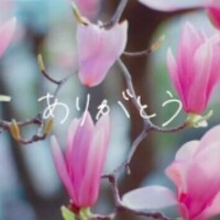 本指名07月17日のA様