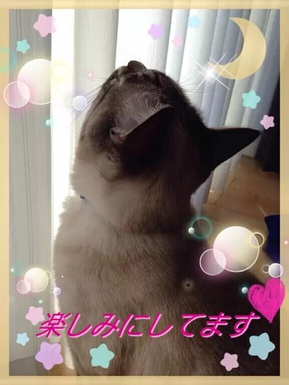 22日(水)事前予約☆ご挨拶(*ov.v)o