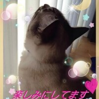 ゆうこ