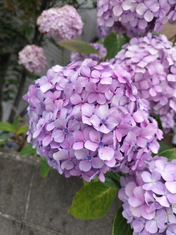 7/19のお礼♡Kさま
