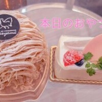 本日のおやつ