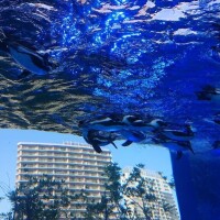 お店の写真も夏バージョンになりましたぁ