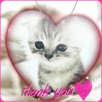 ゆうこ