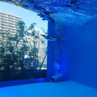 昨日のお礼遅くなってしましたぁ