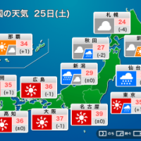 【動画】今日も…