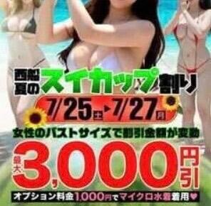 🩷3000円引き🩷