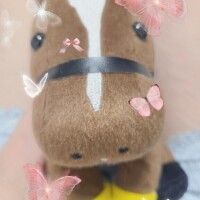 最近は、こんなハナシも聞きたい