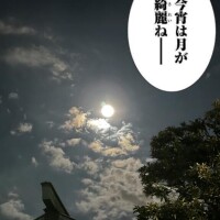 バックムーン