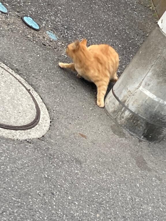 自己責任ですわ…