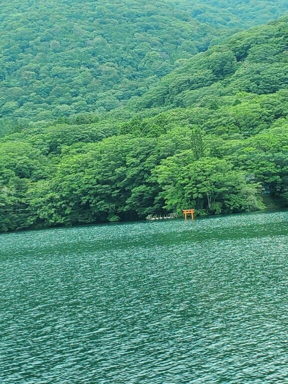 本日はおやすみです