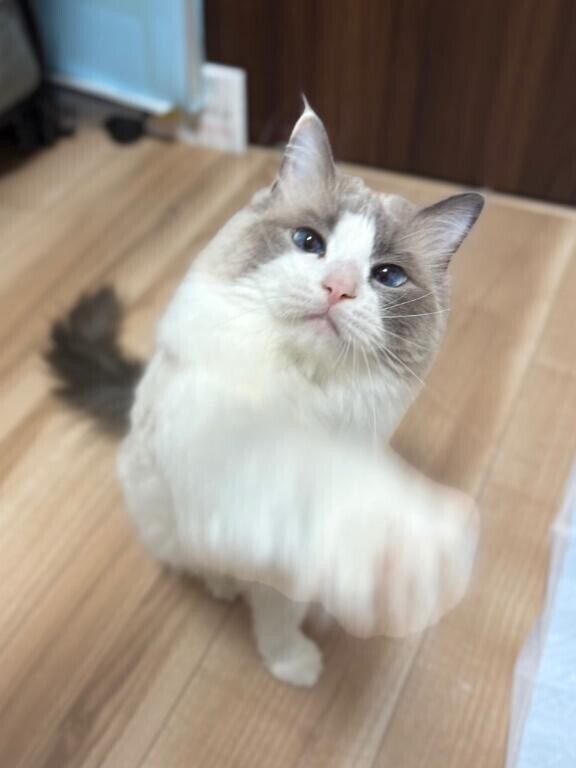 🩵口コミありがとう🩵