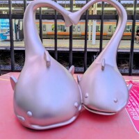 ハートになってる