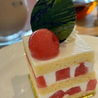 本日も素敵な出会い🩷ありがとうございました🩷