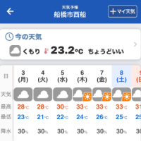 おはよう(ᴑ̶̷˙ധ˙ᴑ̴̶̷)◞