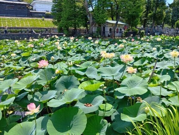 お休みです‍