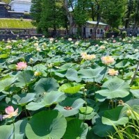お休みです‍