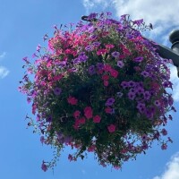 先日のお礼🩷10セゾンA様、ありがとうございました