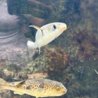 ねぇ…気付いた人いる？