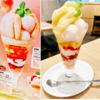 あれ？小さいような…