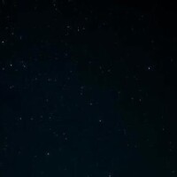 まだいるよ〜
