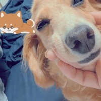どうしても。。