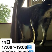 警報出てるよお