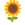夏のト・キ・メ・キ🩷